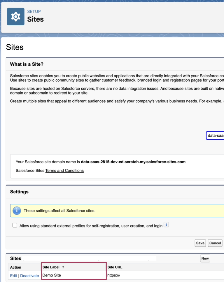 Salesforce public site settings